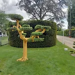 Proche St Emilion , Pause Quelque Part Au Jardin Des Erables Et Des Niwakis