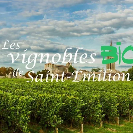 Gasthuis Proche St Emilion , Pause Quelque Part Au Jardin Des Erables Et Des Niwakis