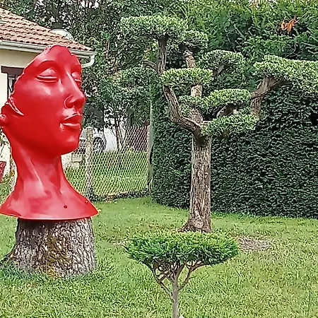 Pause Quelque Part Au Jardin Des Erables Et Des Niwakis * Saint-Medard-de-Guizieres