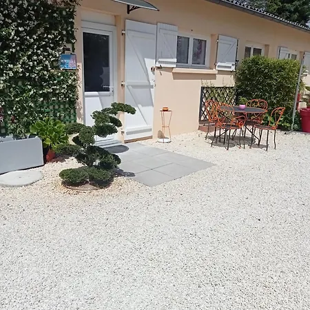 Pause Quelque Part Au Jardin Des Erables Et Des Niwakis *