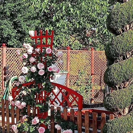 Pause Quelque Part Au Jardin Des Erables Et Des Niwakis