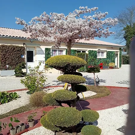 Proche St Emilion , Pause Quelque Part Au Jardin Des Erables Et Des Niwakis