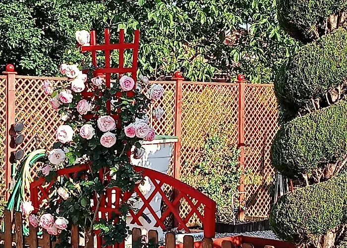 Proche St Emilion , Pause Quelque Part Au Jardin Des Erables Et Des Niwakis