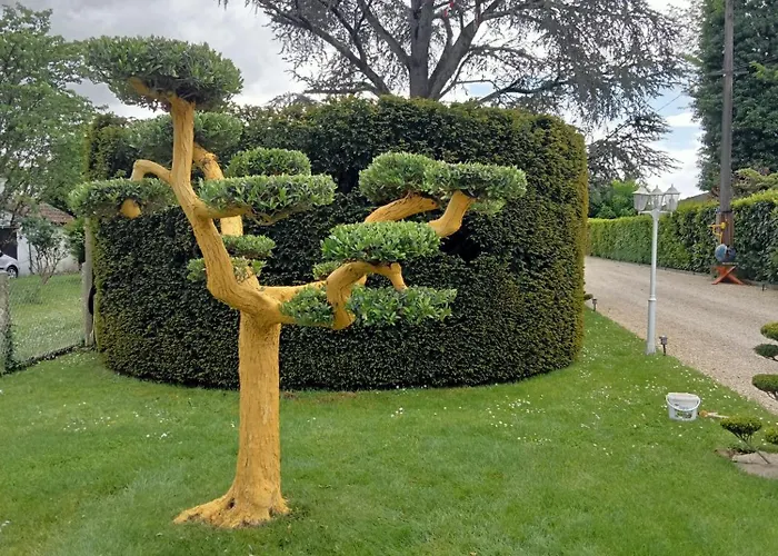 Proche St Emilion , Pause Quelque Part Au Jardin Des Erables Et Des Niwakis